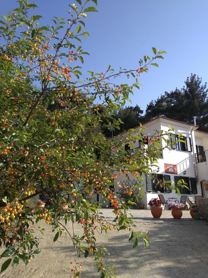 Eri Rooms To Let Raches  Екстериор снимка